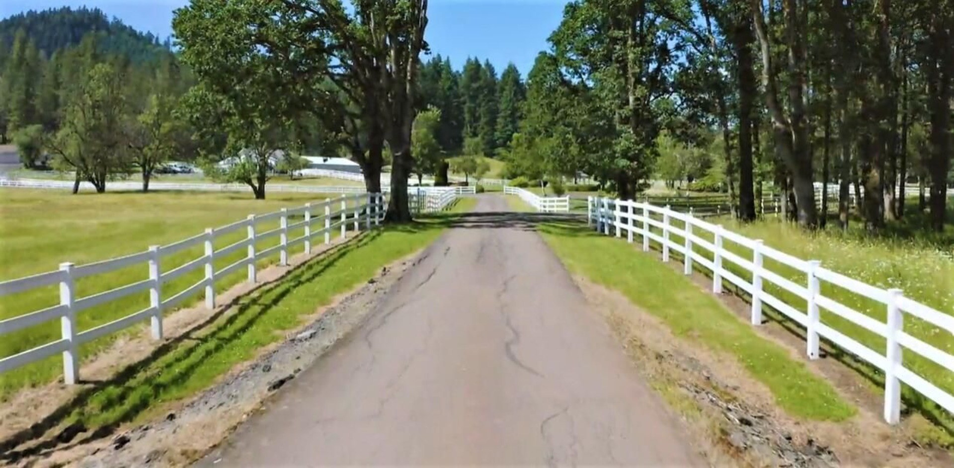 37691 Upper Camp Creek RdSpringfield, OR 97478