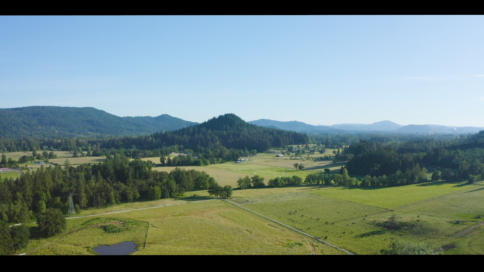 37691 Upper Camp Creek RdSpringfield, OR 97478