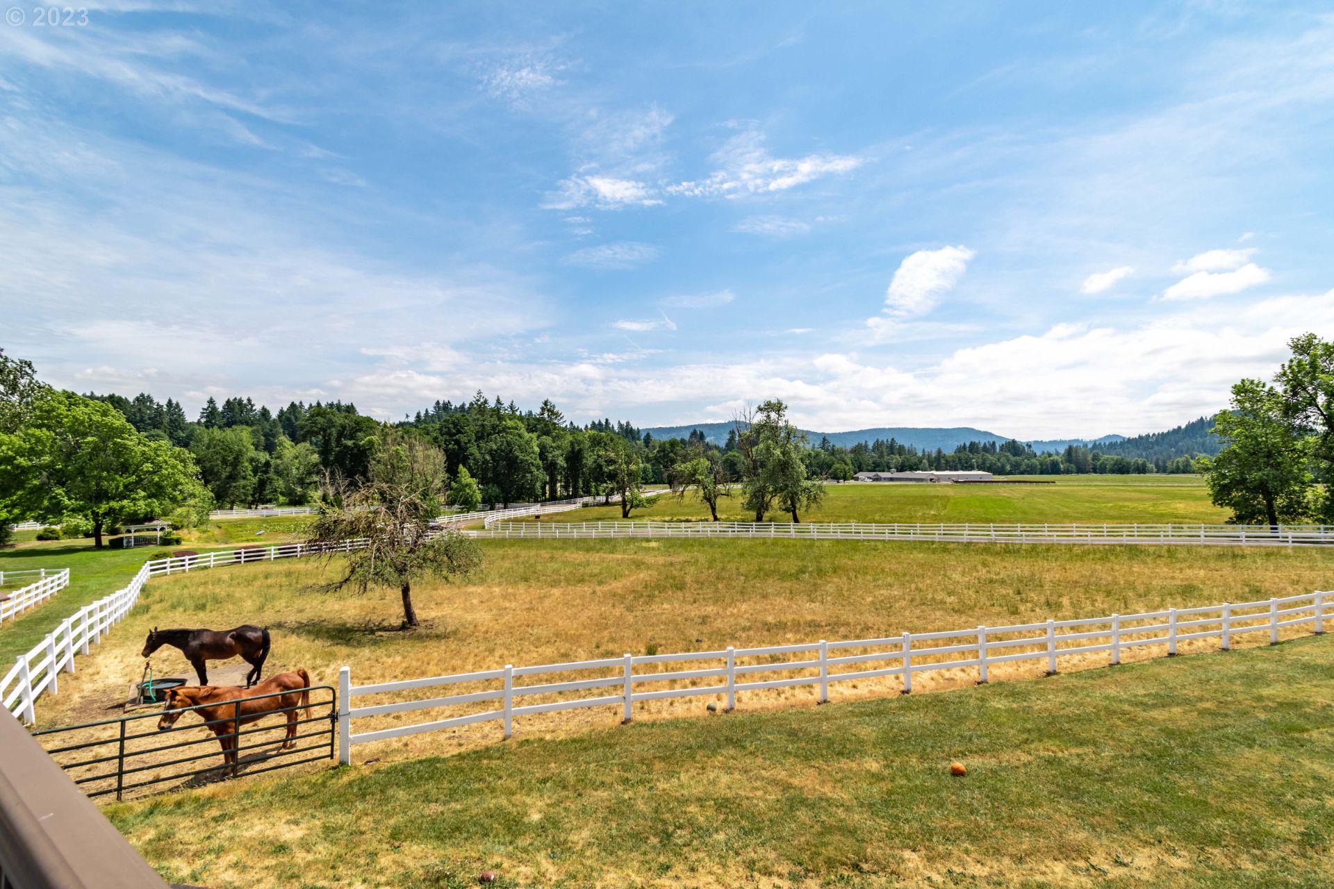 37691 Upper Camp Creek RdSpringfield, OR 97478