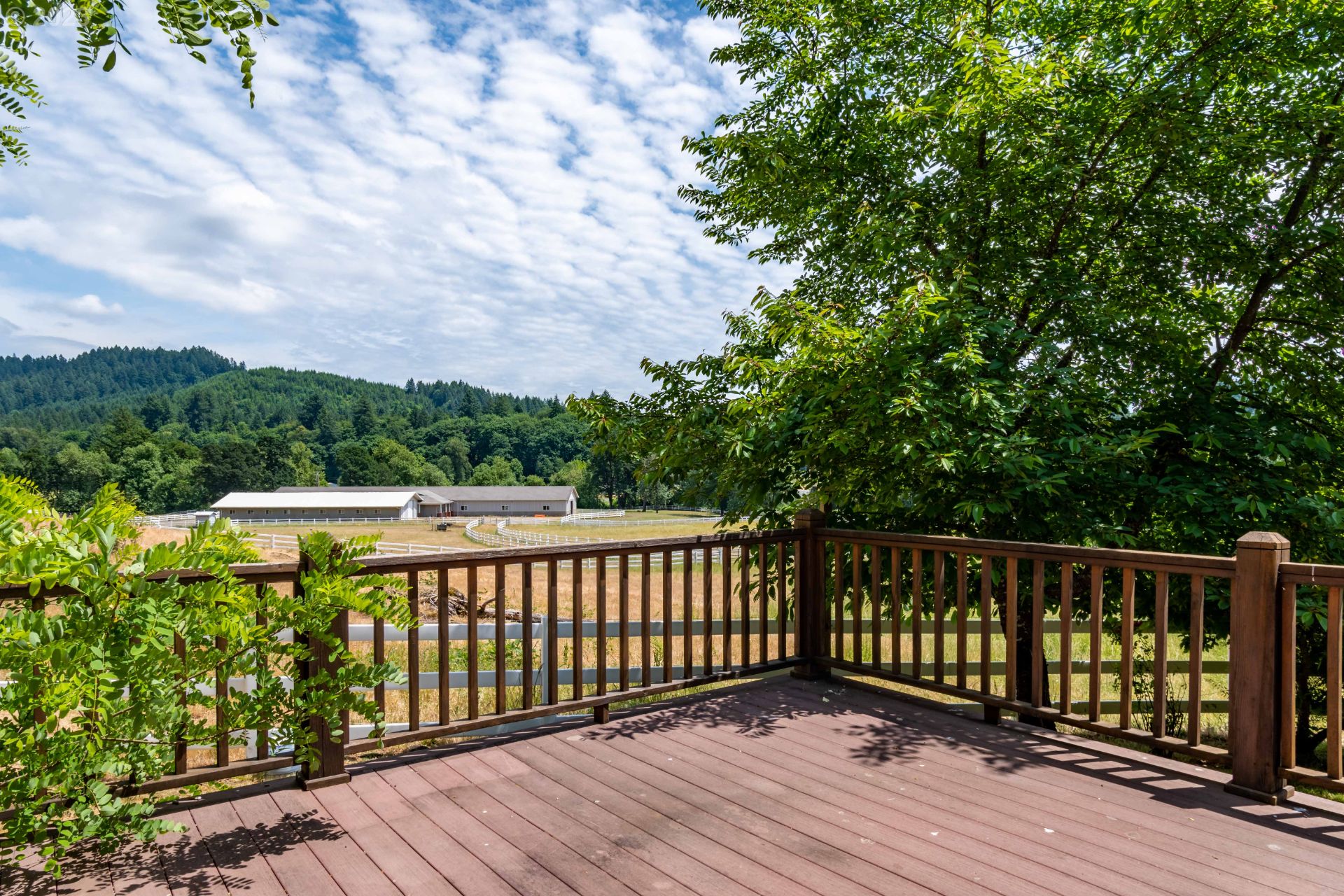 37691 Upper Camp Creek RdSpringfield, OR 97478