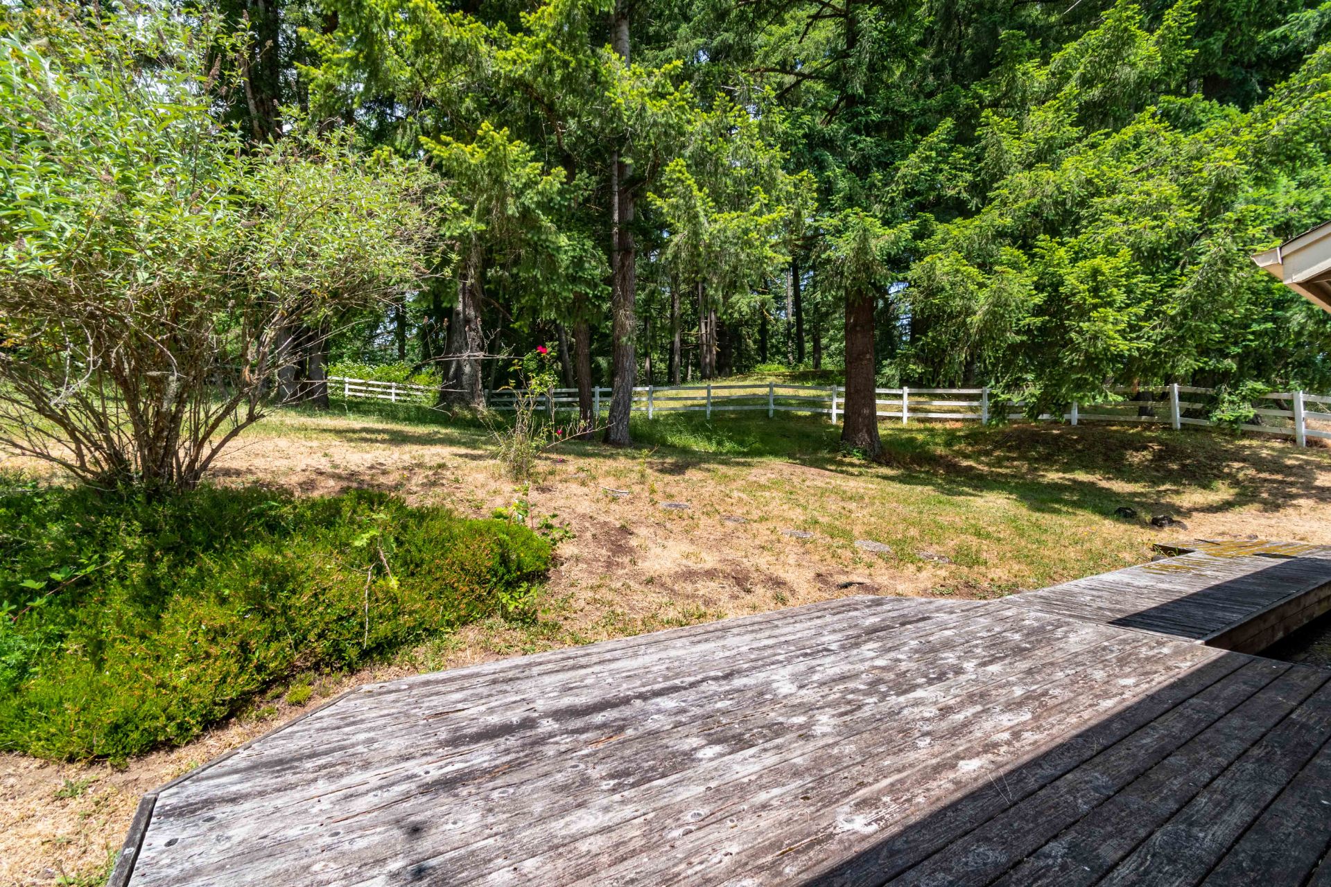 37691 Upper Camp Creek RdSpringfield, OR 97478